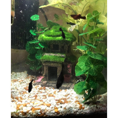 Fish House - Aquarium Decoration with Lifelike Moss