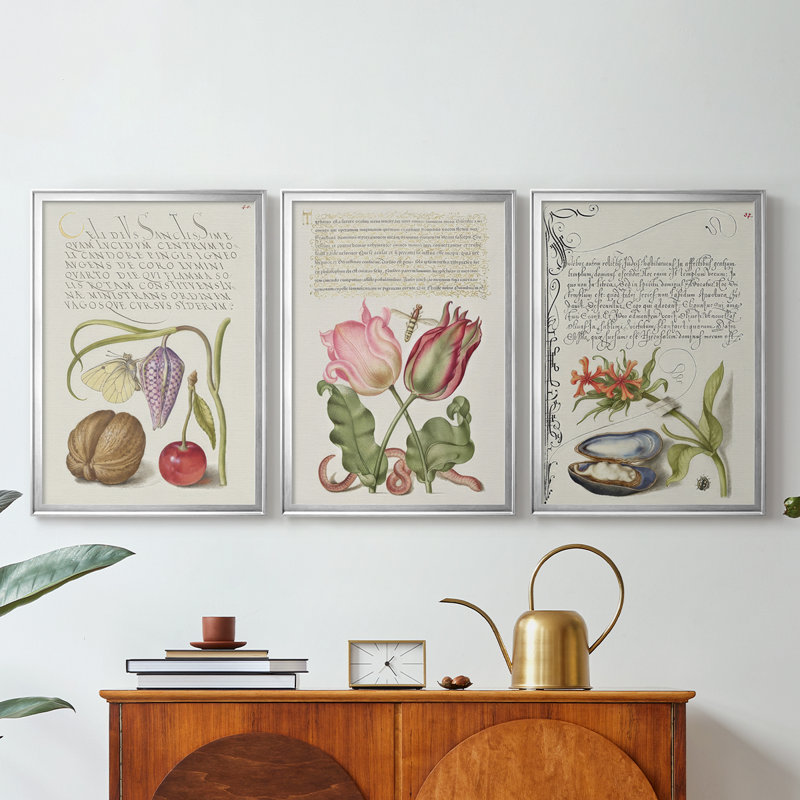 Hoefnagel Tropical Specples IX - Toile tendue avec châssis encadré - 3 pièces, H 21 po x l 30 po, Argent argent