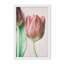 «Nature Inspired The Spring Lovers» par Delphine Devos - Œuvre d'art encadrée sur papier-81386867-131284562-131292477