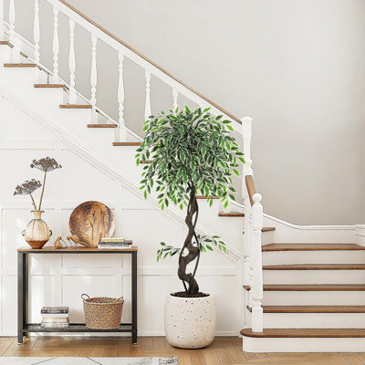 Artificial Ficus Tree, Faux Plastic Fake Tree, with Moss & Pebbles, Realistic White Oak Large Modern Decorative Plants for Living Room Office, Home Decor Indoor