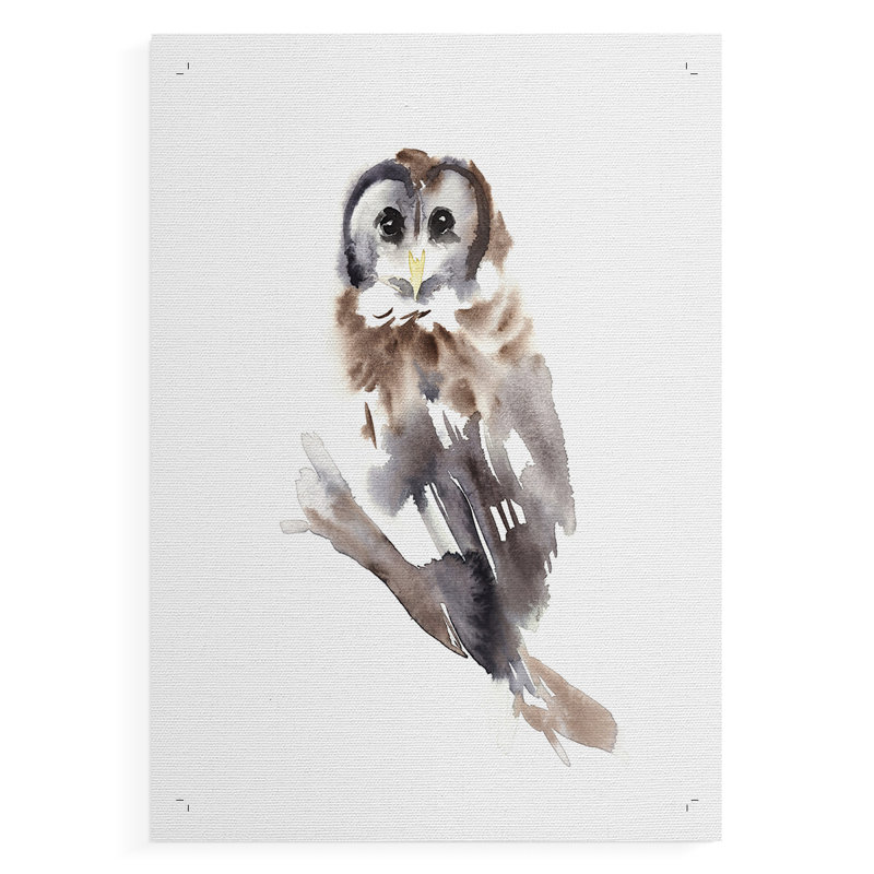 Barred Owl Impressions II - Impression sur toile seulement - NON-CADRE, H 48 po x l 32 po