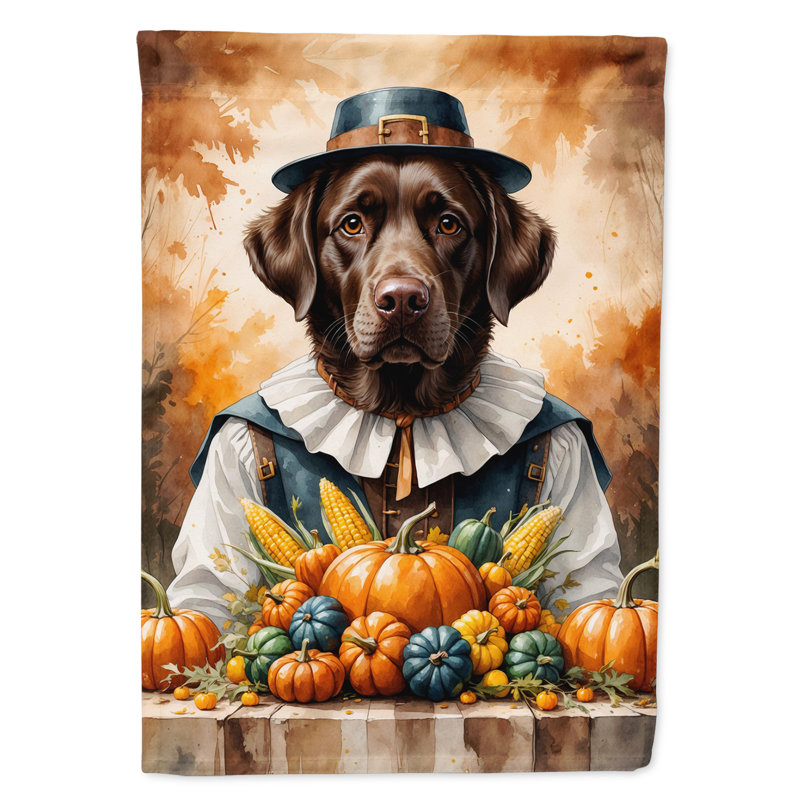 Drapeau de l'Action de grâce, Labrador Retriever chocolat