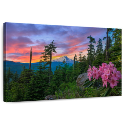 Alvord Mount Hood Forest