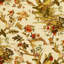 Le Faisan Chinoiserie Fabric