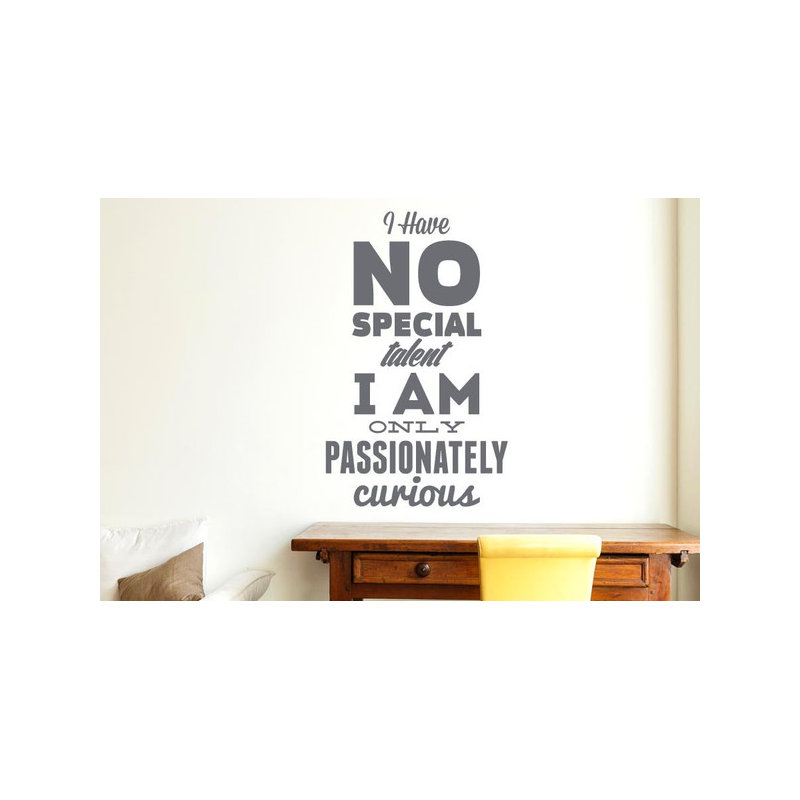 Non-Wall Damaging Wall Decal, Grey, Large