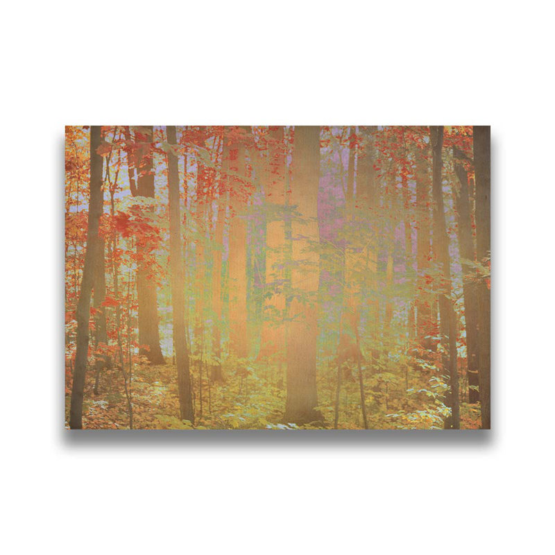 «Autumn Magickly» par Hal Halli. Toile giclée sur toile tendue avec cadre flottant, H 30,5 po x l 40,5 po, Brun