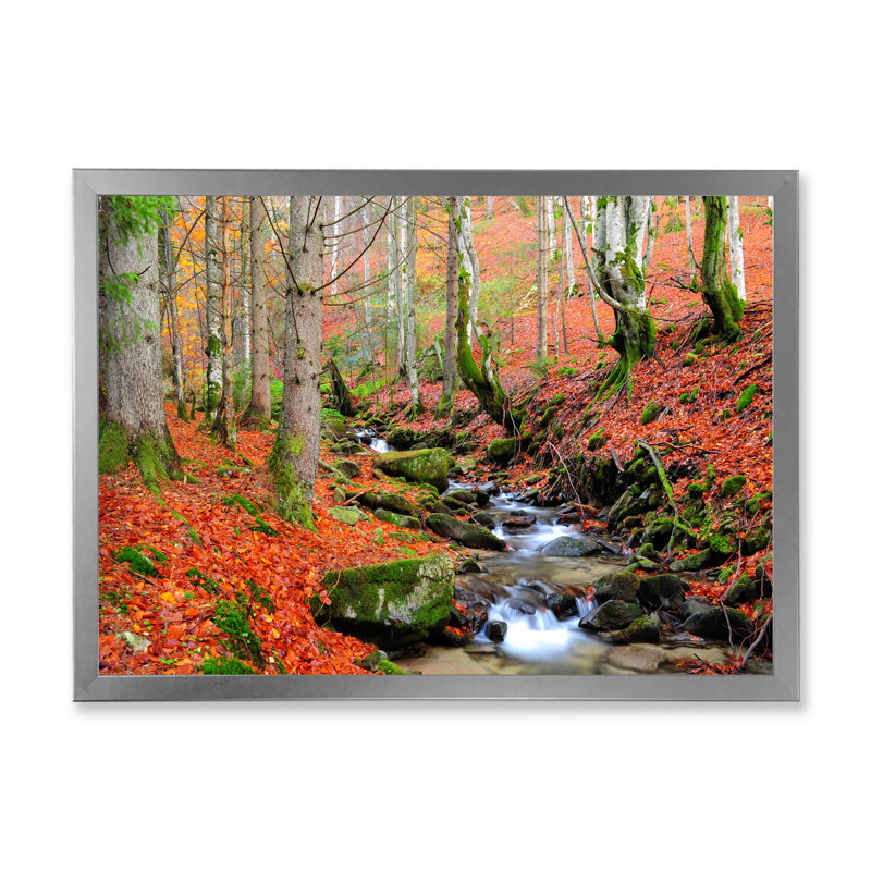 «Beautiful Autumn Forest Waterfall IV», art mural traditionnel sur toile, H 24 po x l 36 po x P 1,5 po