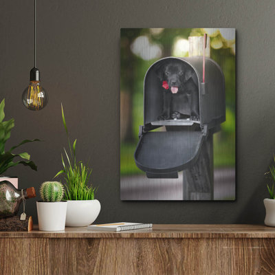 Luxe Metal Art 'Black Lab Special Delivery' By Jon " Black Lab Special Delivery " by Jonathan Ross