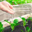 Outsunny 2m x 100m Heavy Duty Weed Control Membrane Weed Membrane Black