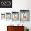 "ANIMALS Series CDLXV III"-1181768393-1181768398