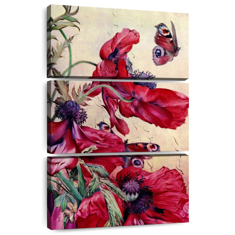 Harnek Poppy Nature Study 1917, H 45 po x l 28 po