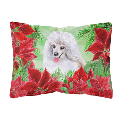  Coussin décoratif intérieur / extérieur moyen Poodle Poinsettias