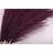 Silk Pampas Grass Arrangement-238066805-213036443