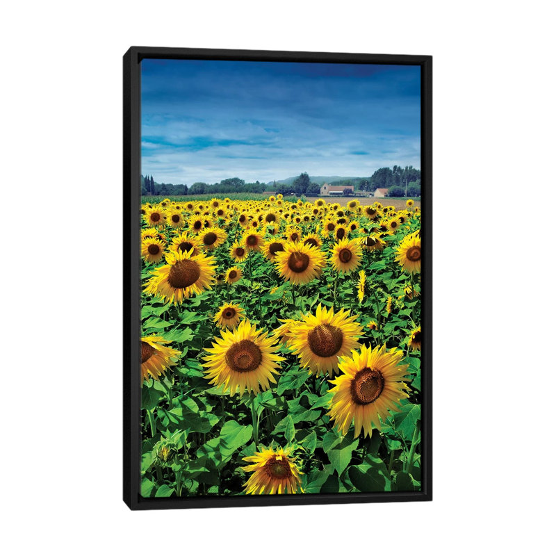 Turn Your Face to the Sun 1 Piece Wall Art on Canvas, 66.04 cm H x 45.72 cm W, Black Framed