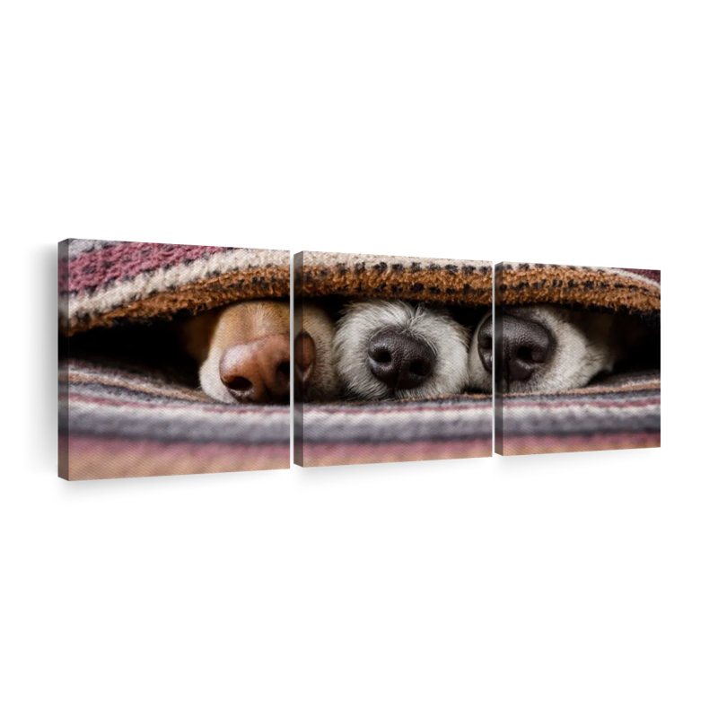 «Hiding Dogs», reproduction d'art sur toile, H 30 po x l 92 po x P 1,25 po