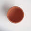 Datura Terracotta Pot Planter-73511527-73511524