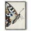 ANIMALS Series CECLXI, reproduction encadrée - bois massif-1731360159