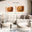 Aletra Nautilus Shell Inside-107680922