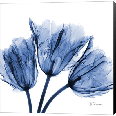 Traditional Plants & Flowers Wall Decor on Canvas