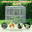 Cage à oiseau avec support en fer 80,7 po Corwynn-620506756