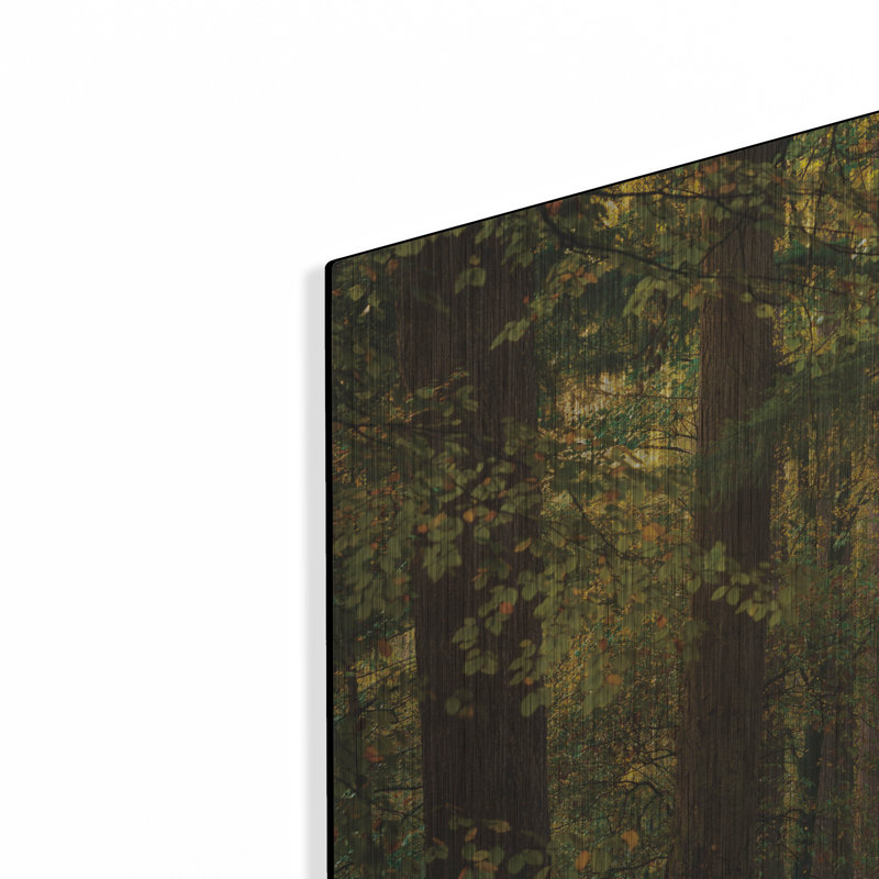  «Time of change» par Martin Podt, art mural en métal, 36 po x 24 po, H 24 po x l 36 po