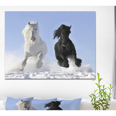 Black and White Photography Print