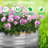 Romeshia Galvanized Metal Outdoor Barrel Planter