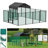 Dovidio 10 Square Feet Chicken Run For Up To 30 Chickens
