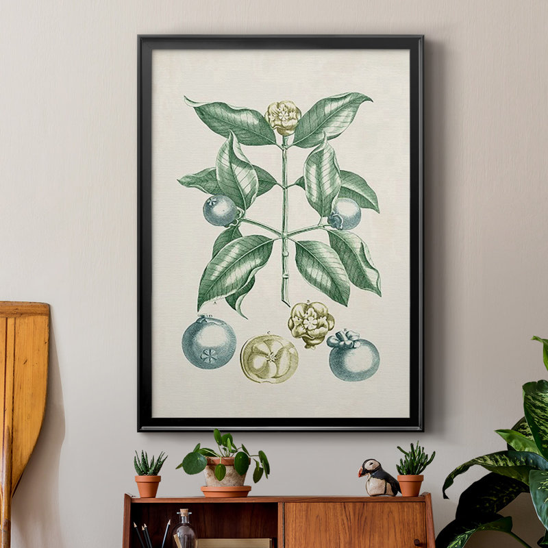 Buchoz Tropicals VII, reproduction d'art encadrée, Noir, H 30,5 po x l 22,5 po x P 1 po