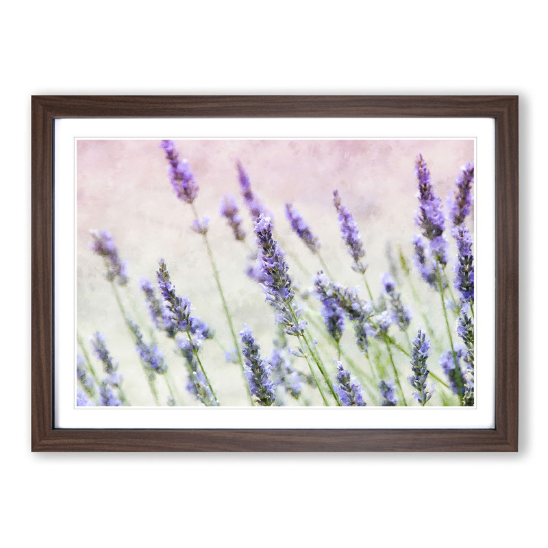 A Field Of Lavender - Single Picture Frame Print on MDF, 45cm H x 63cm W x 2cm D, Walnut