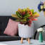 Geometric Patterned Cylinder Planter with Feet-350652355-350652354