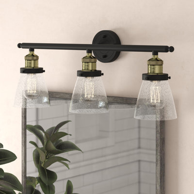 3 - Light Dimmable Vanity Light