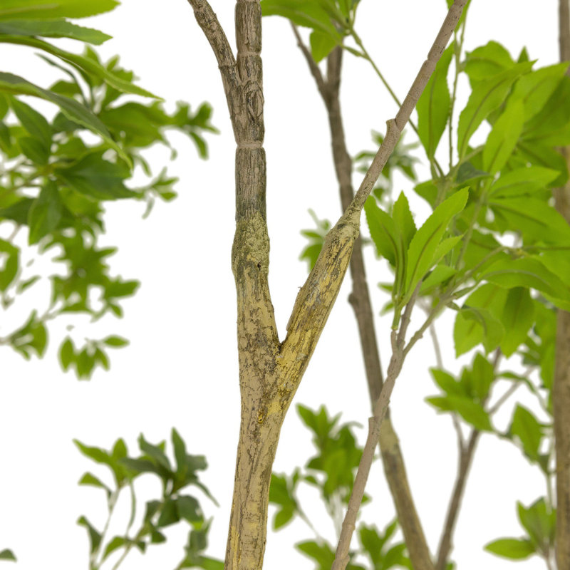 Faux Pieris Tree-Faux Pieris Tree-9.5', 116" H x 92" W