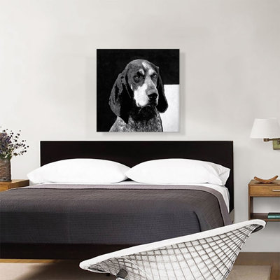 «Bluetick Coonhound Dog Breed», reproduction d'art sur toile tendue