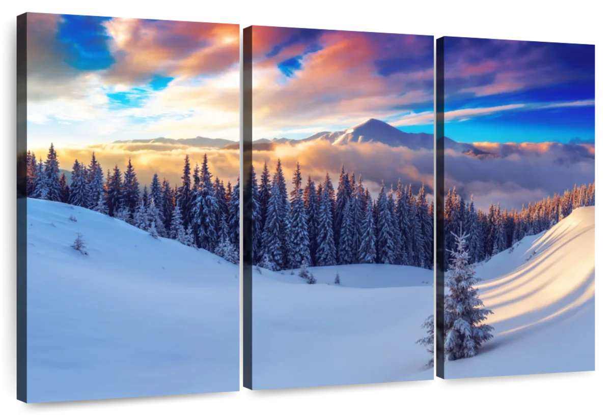 Millwood Pines Alvord Winter Landscape Trees | Wayfair