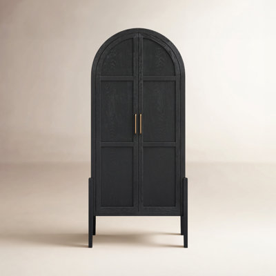 Cathay 2 - Door Accent Cabinet by Birch Lane