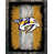 Nashville Predators