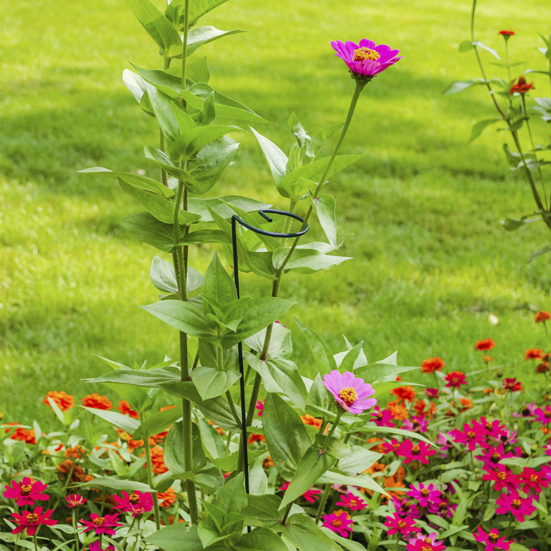 Lebec Metal Weather Resistant Plant Support