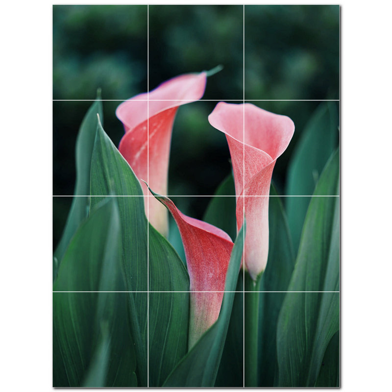 Fleurs photo 8 x 8