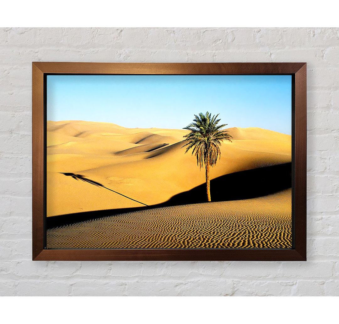 Desert Palmtree - Drucken