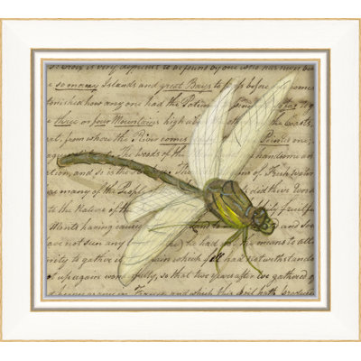 Libellule, impression encadrée