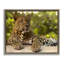 Cadre flottant Leopard-745814805-745814804