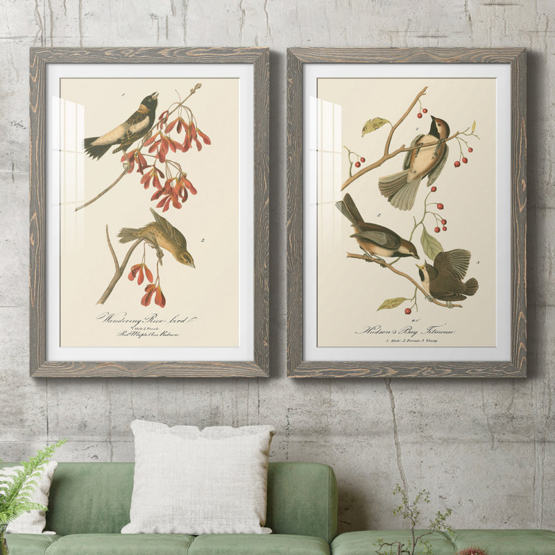Oiseau de riz Wandering, reproduction encadrée, prête à être accrochée, H 43,5 po x l 31,5 po x P 1 po, Cadre en papier gris
