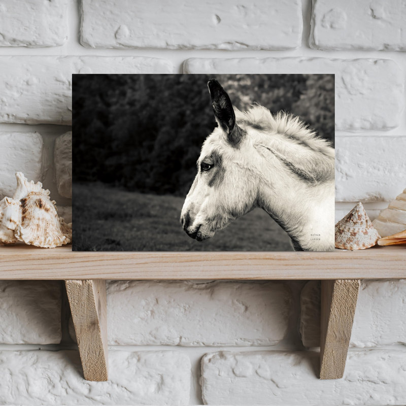 Print, 30.48cm H x 45.72cm W