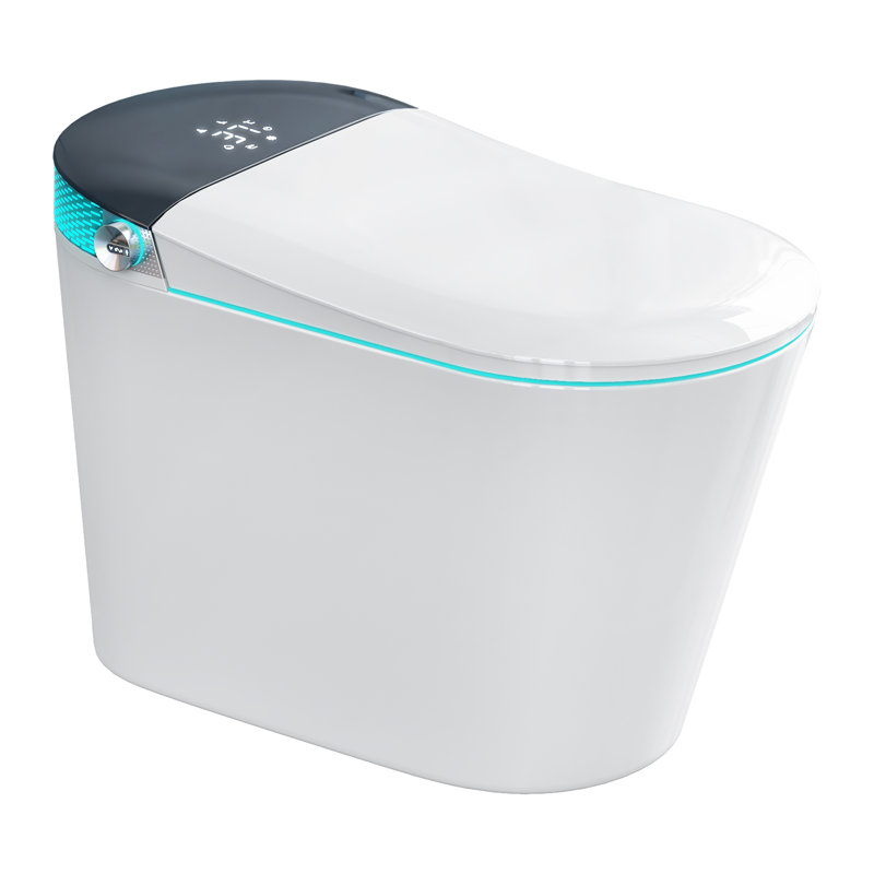 Dual-Flush Elongated Bidet Toilet (Seat Included), White/Black