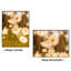 Ayden Metal Poster Picture Frame-510764019-452000173