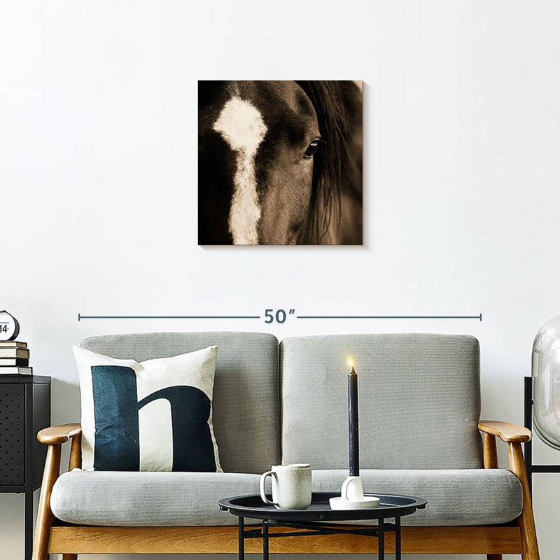 Brampt Dark Eyes, 20'' H x 20'' W