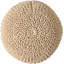 POUF HASEL-2137450238