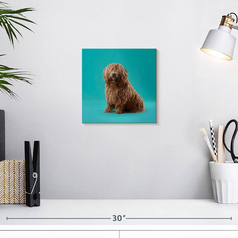 Crowle Komondor Dog, H 10 po x l 10 po