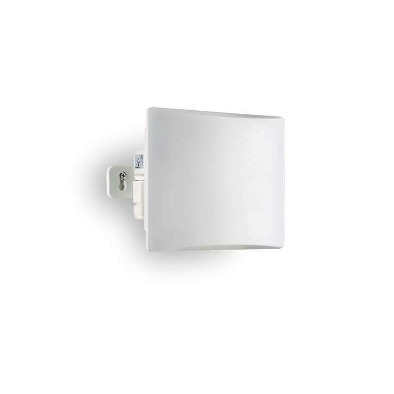 Riceville LED Flood Light